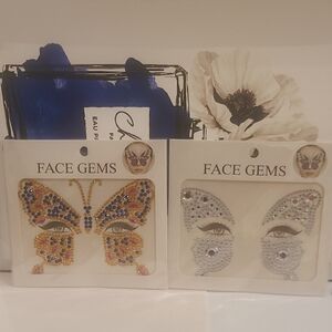 Colorful Butterfly and Silver Face Gems